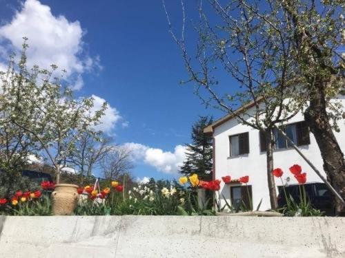 Hostel-Sezanalokev B&B Kültér fotó